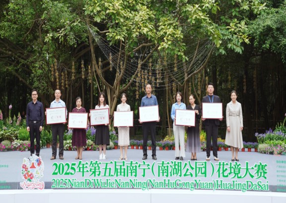 喜讯：晟宁集团“童心花园”作品荣获2025年  第