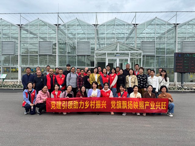 党建引领助力乡村振兴 党旗飘扬映照产业兴旺
