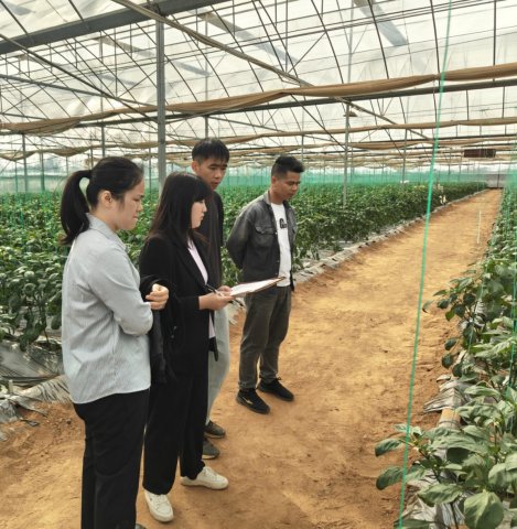 强化现场监督 筑牢合规防线——集团公司开展专项审计现场检查工作